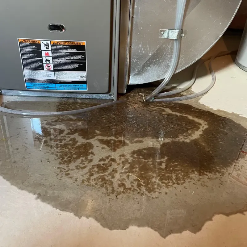 Appliance Leak Cleanup in Southern Shops, SC