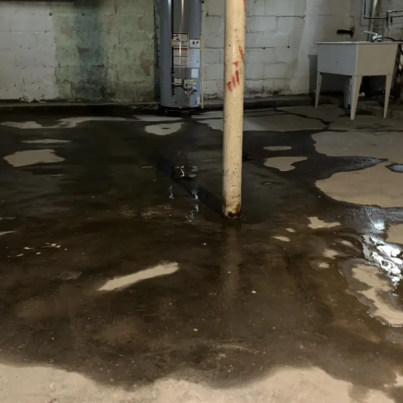 Emergency Water Extraction And Removal in Southern Shops, SC